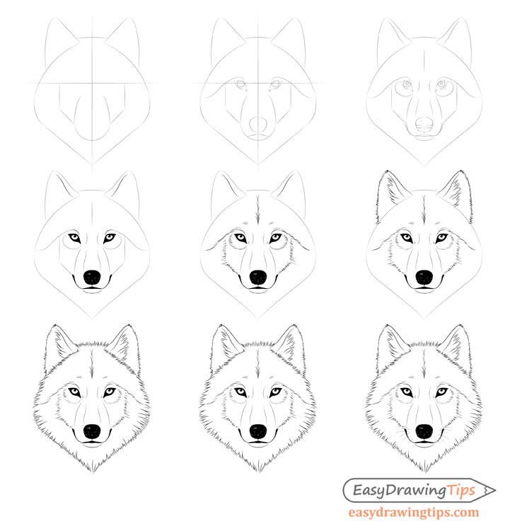 728x750 How To Draw A Wolf Face Head Step - Wolf Face Drawing