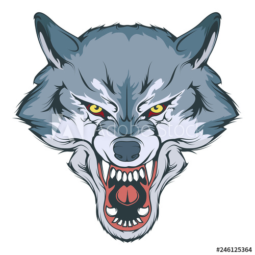 Wolf Face Drawing at PaintingValley.com | Explore collection of Wolf ...