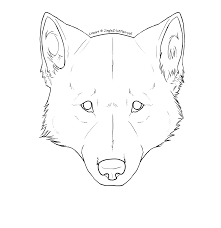 221x228 Bildresultat Wolf Face From Front Drawing Special Wolf - Wolf Face Drawing