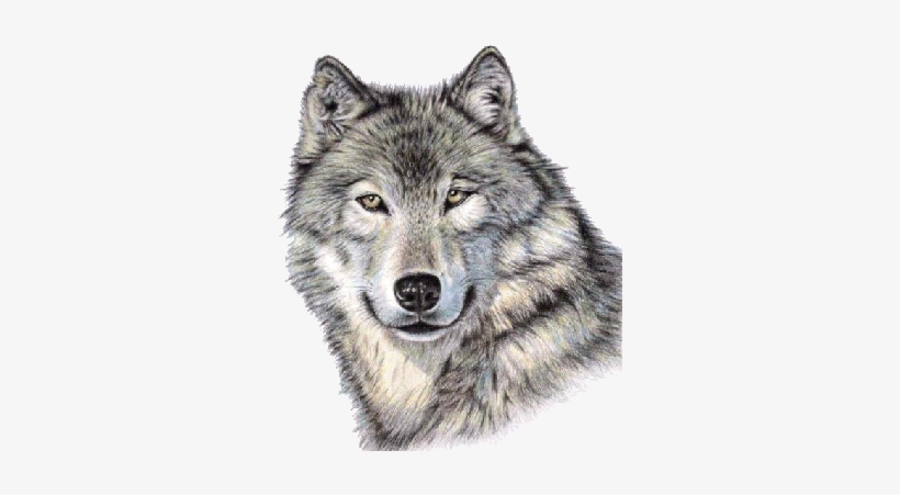 820x451 Cute Wolf Face Png Image - Wolf Face Drawing