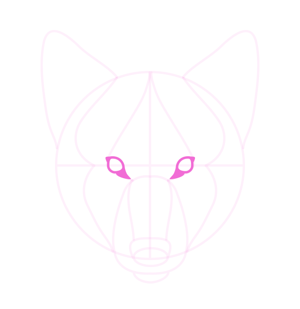 600x619 How To Draw Animals Dogs And Wolves, And Their Anatomy - Wolf Face Drawing Step By Step