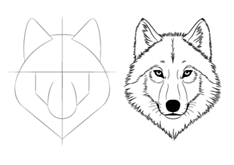 Drawing Simple Easy Wolf Face Drawing