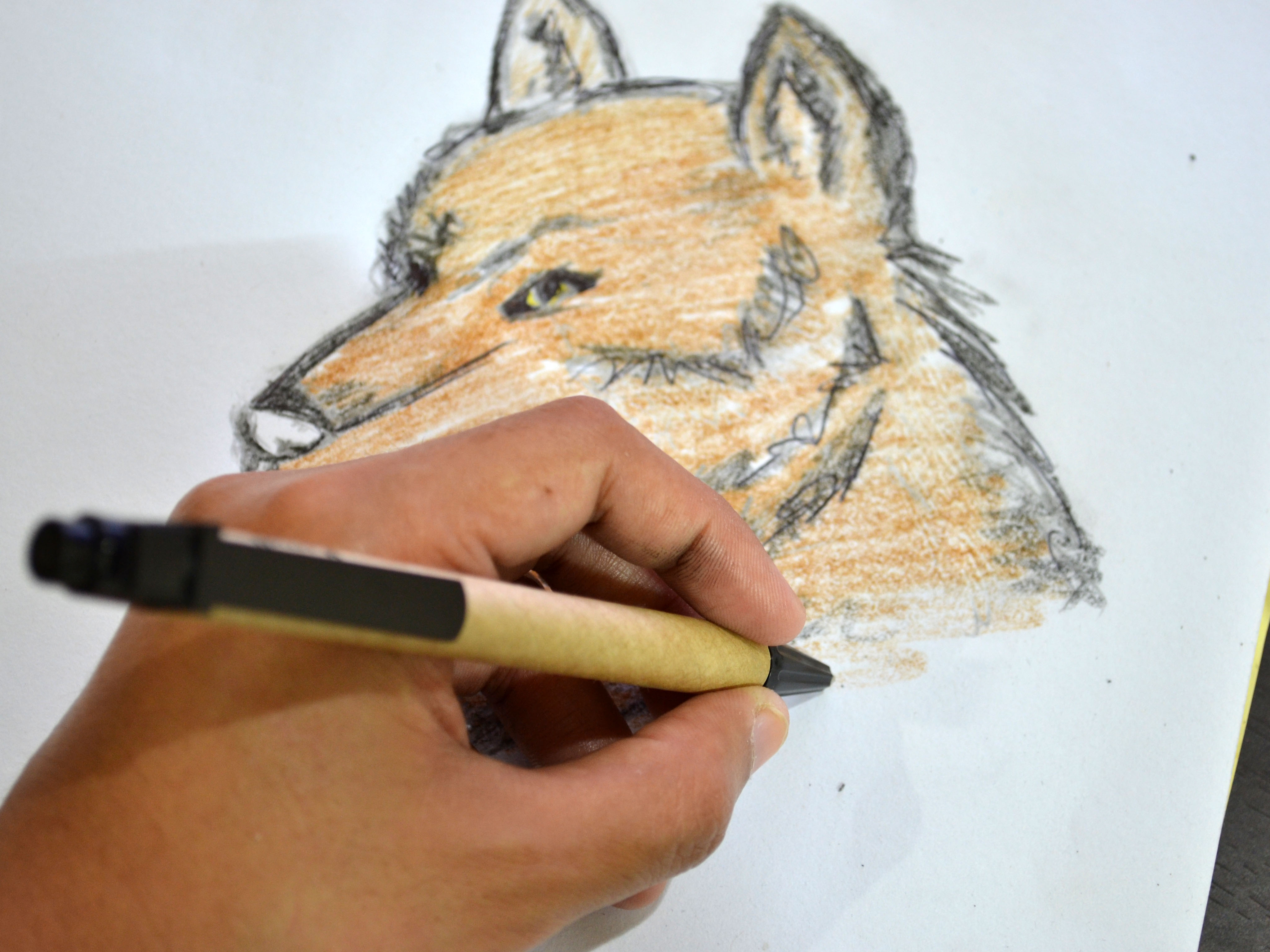 4096x3072 How To Draw A Wolf Face Steps - Wolf Face Drawing Step By Step