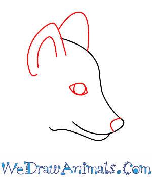 300x350 how to draw a wolf pup - Wolf Face Drawing Step By Step