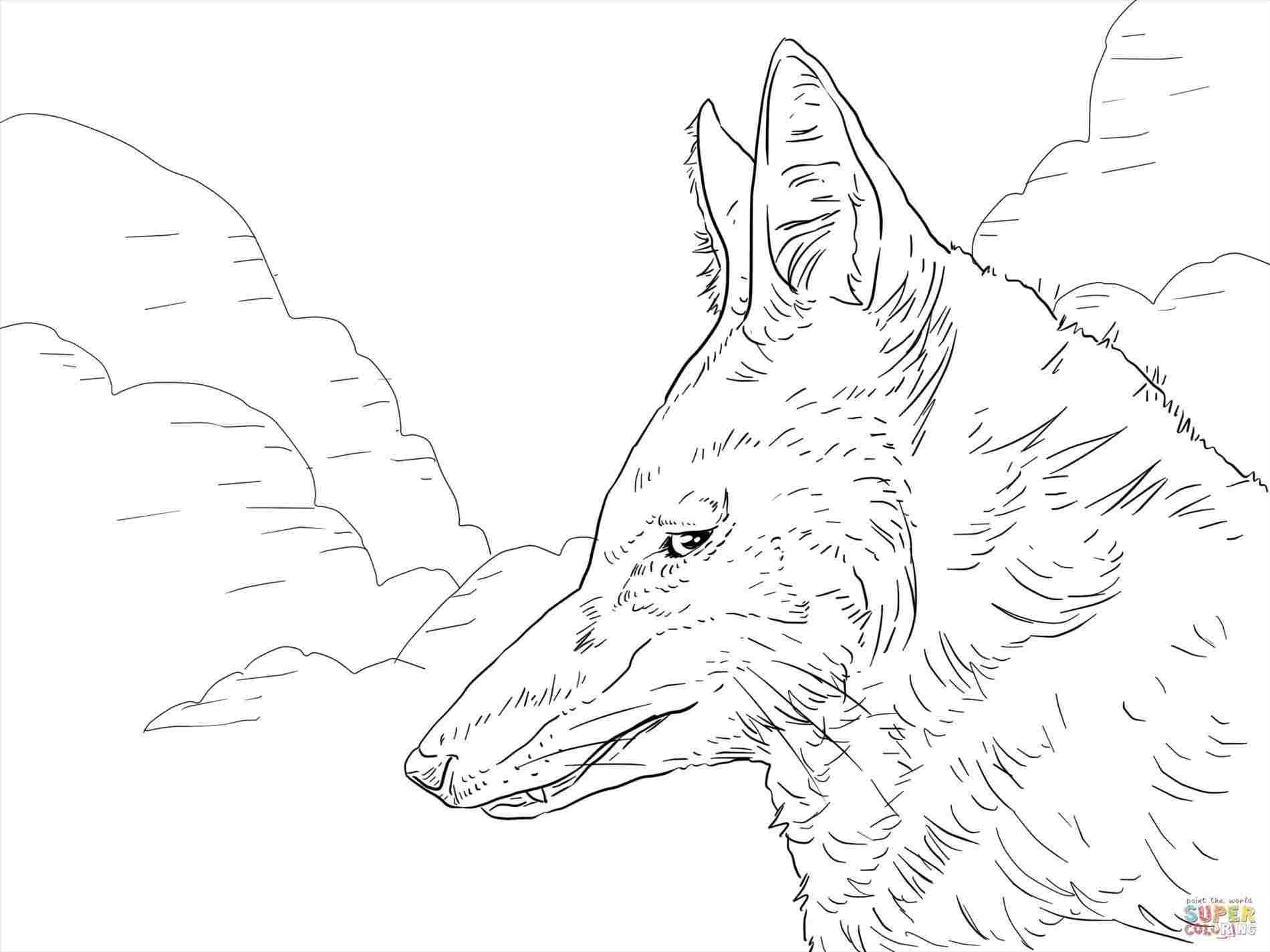 1900x1425 Howling Wolf Face Drawing Easy Step - Wolf Face Drawing Step By Step