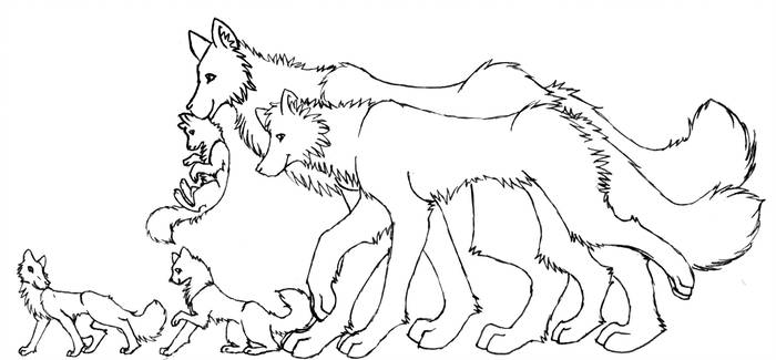 700x325 Free Wolf Family Lineart - Wolf Family Drawing