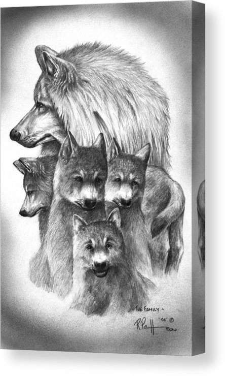 444x740 tundra wolf family canvas print canvas art - Wolf Family Drawing