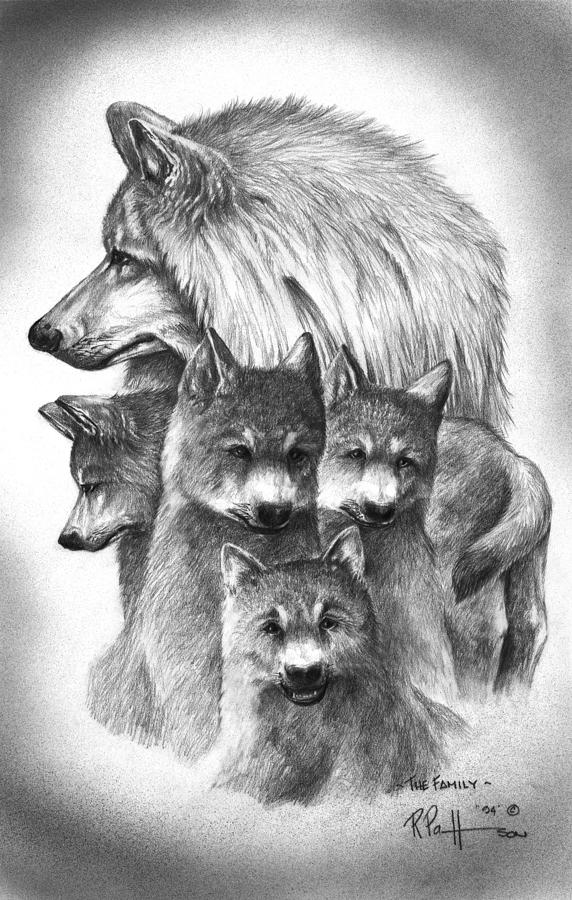 572x900 tundra wolf family drawing - Wolf Family Drawing