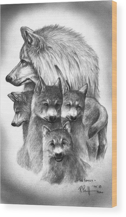 426x732 tundra wolf family wood print - Wolf Family Drawing
