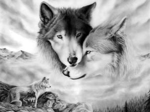 300x225 Wolf Family Art Wild Dogs Wall Print Poster Au Ebay - Wolf Family Drawing