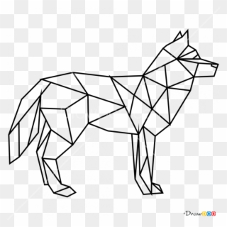 320x320 drawing polygon wolf geometric clipart - Wolf Geometric Drawing