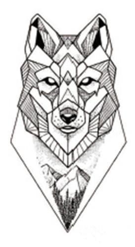 wolf drawing geometric