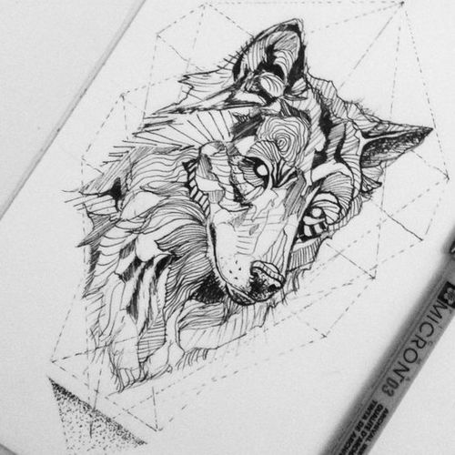 500x500 wolf geometry ios camera image found on polyvore featuring - Wolf Geometric Drawing
