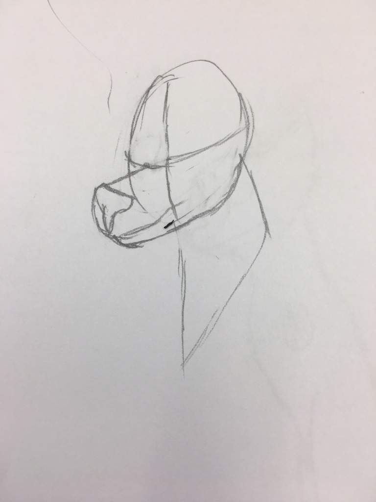 768x1024 hat tip - Wolf Hat Drawing