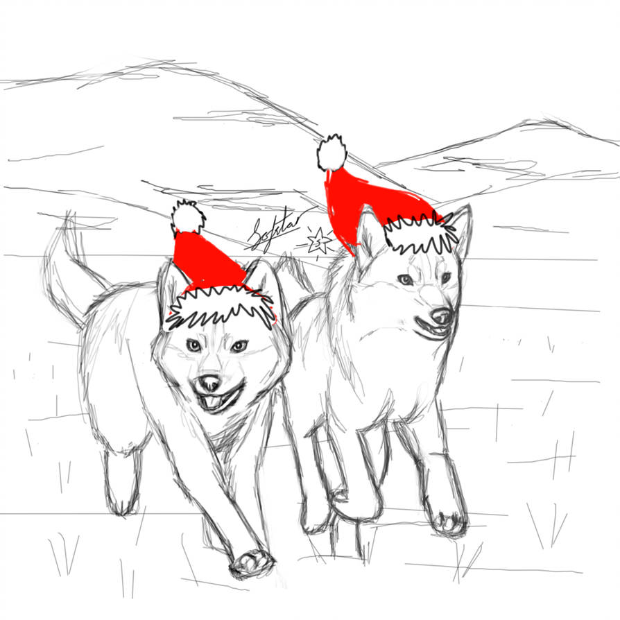 894x894 It's Christmas! - Wolf Hat Drawing