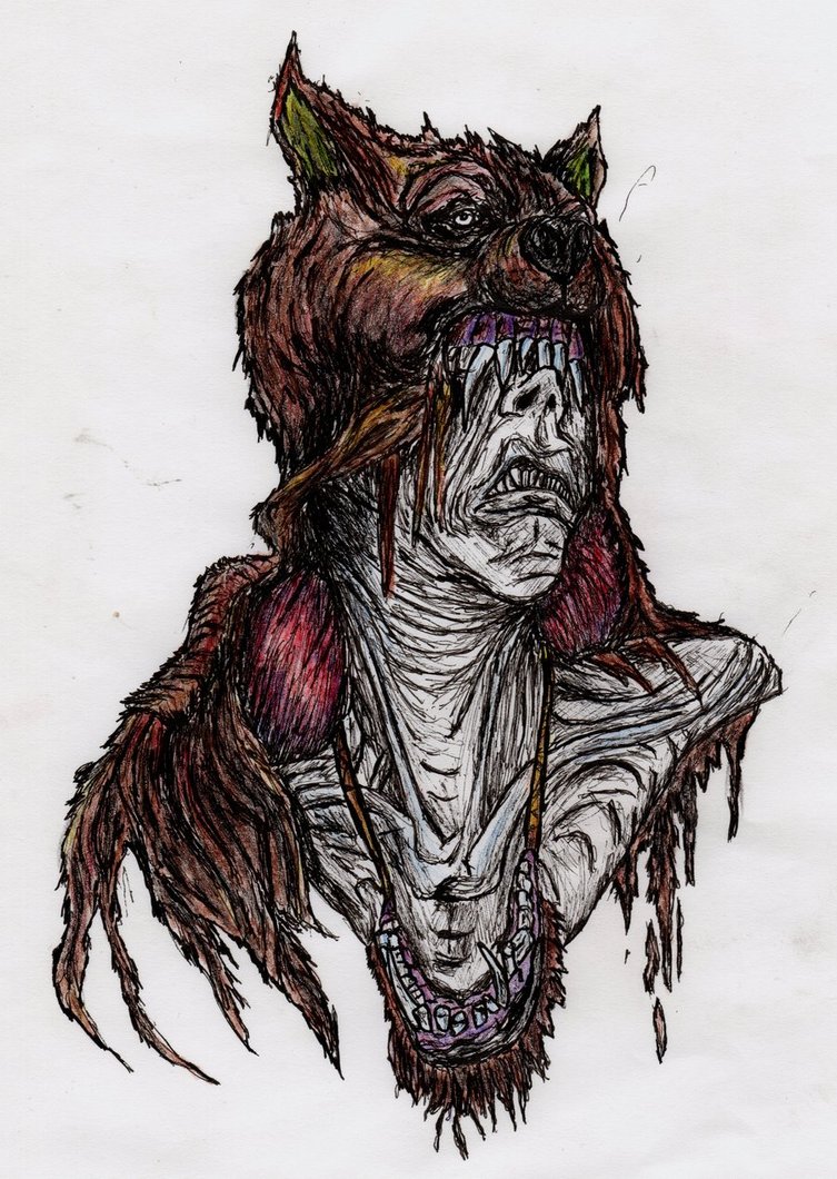 753x1060 Wolf Hat Girl Drawing - Wolf Hat Drawing