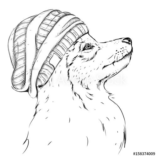 500x500 Wolf Portrait Wolf In A Hat Hand Draw Vector Illustration - Wolf Hat Drawing