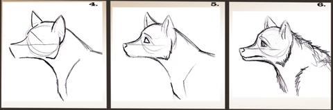 480x159 How To Draw A Wolf's Head - Wolf Head Drawing