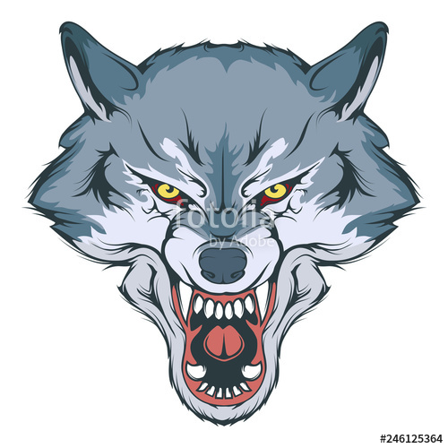 500x500 wolf head vector drawing, wolf face drawing sketch, wolf head - Wolf Head Drawing