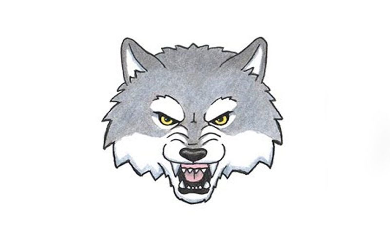 800x480 How To Draw A Wolf Head - Wolf Head Drawing Step By Step