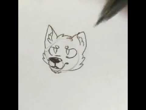 Wolf Head Drawing Step By Step at PaintingValley.com | Explore ...