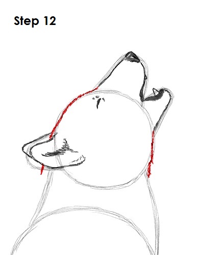 386x500 How To Draw A Wolf - Wolf Head Drawing Step By Step