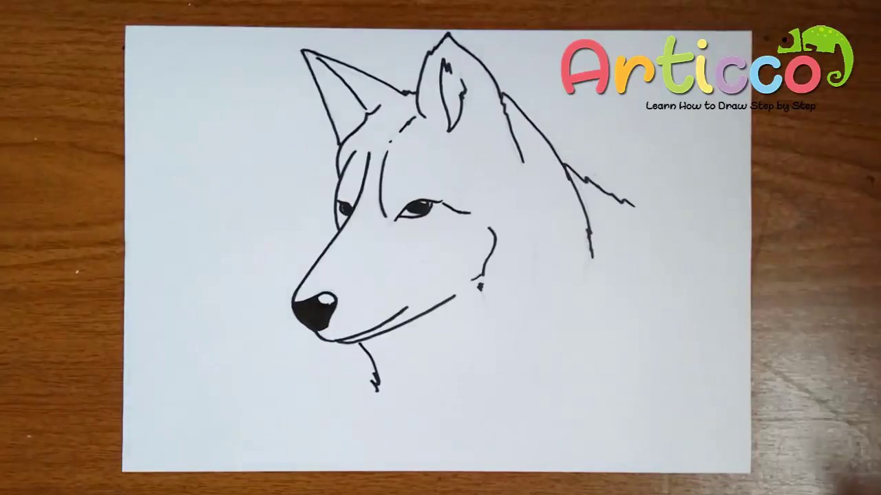 1280x720 How To Draw A Wolf Head Step - Wolf Head Drawing Step By Step
