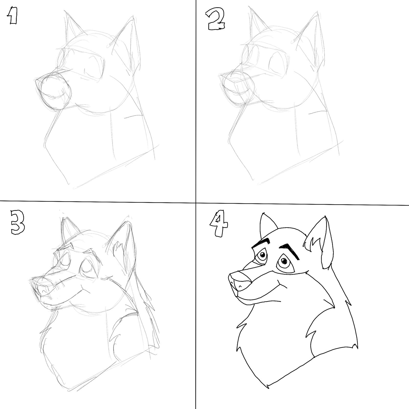 1600x1600 How To Draw A Wolf's Head, Step - Wolf Head Drawing Step By Step