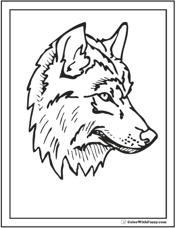 590x762 Wolf Head Coloring Pages Printable - Wolf Head Drawing Step By Step