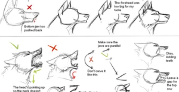 580x300 Wolf Drawing Tutorial Step - Wolf Head Drawing Step By Step