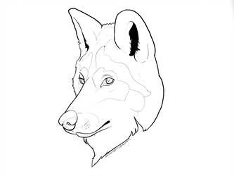 Wolf Head Line Drawing