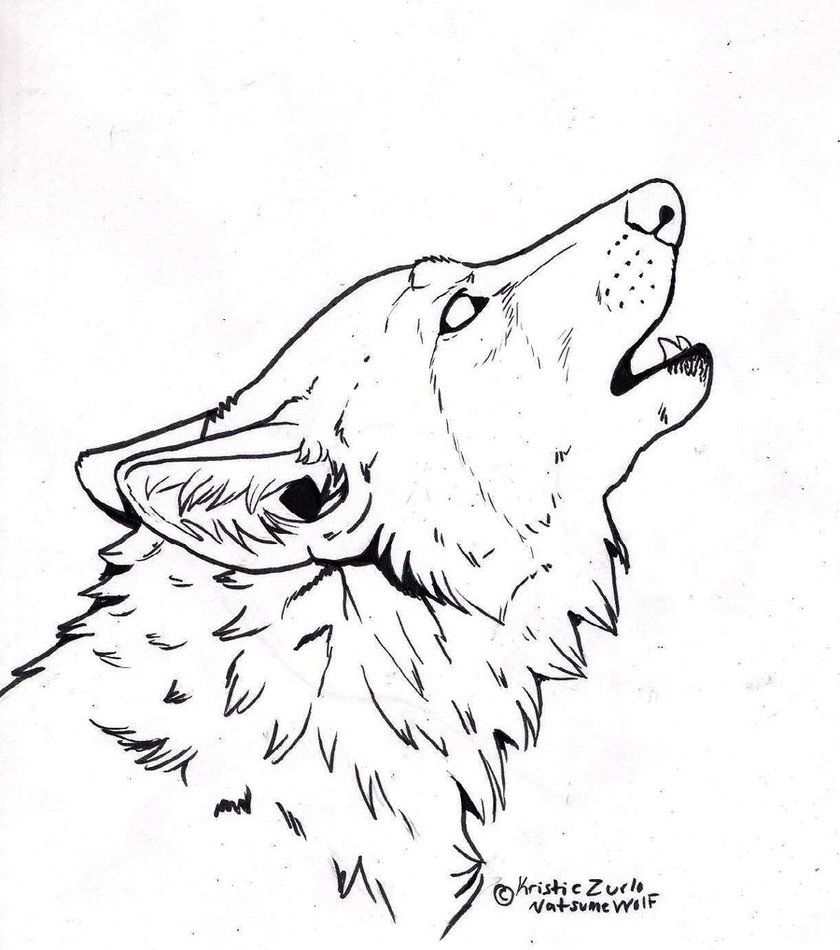 840x950 Free To Color Only Howling Wolf Line Art - Wolf Head Line Drawing