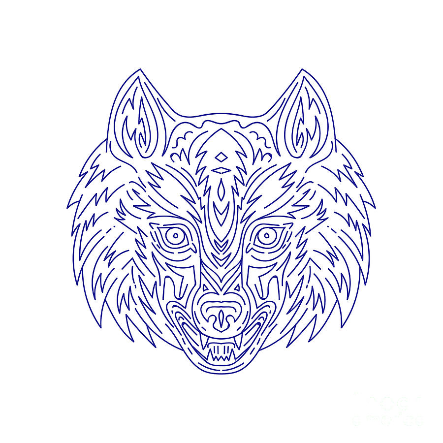 900x900 grey wolf head mono line digital art - Wolf Head Line Drawing