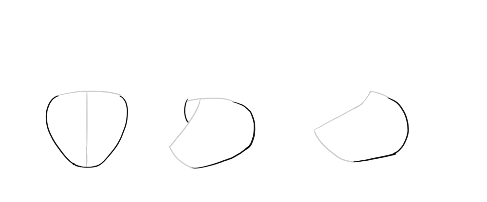 1000x416 how to draw a wolf head and shoulders, knees and paws - Wolf Head Line Drawing