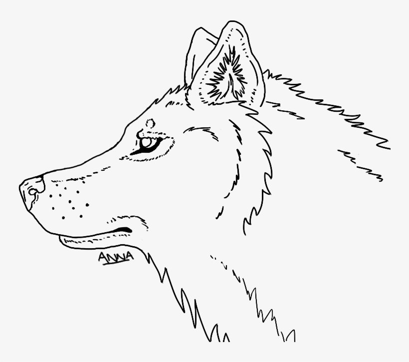 820x725 Wolf Head At Getdrawings - Wolf Head Line Drawing
