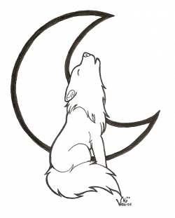 250x311 Wolf Line Drawing Pictures And Cliparts, Download Free - Wolf Head Line Drawing