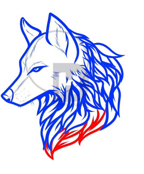 593x720 How To Draw A Wolf Tattoo, Wolf Tattoo, Step - Wolf Head Side Drawing
