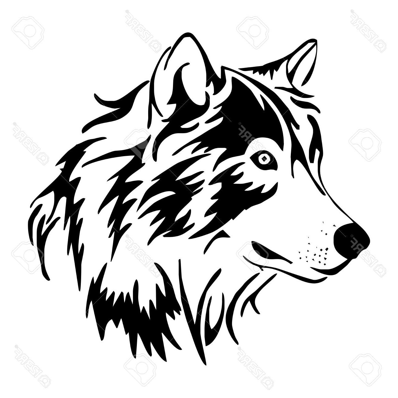1300x1300 Unique Wolf Head Side Vector Pictures - Wolf Head Side Drawing