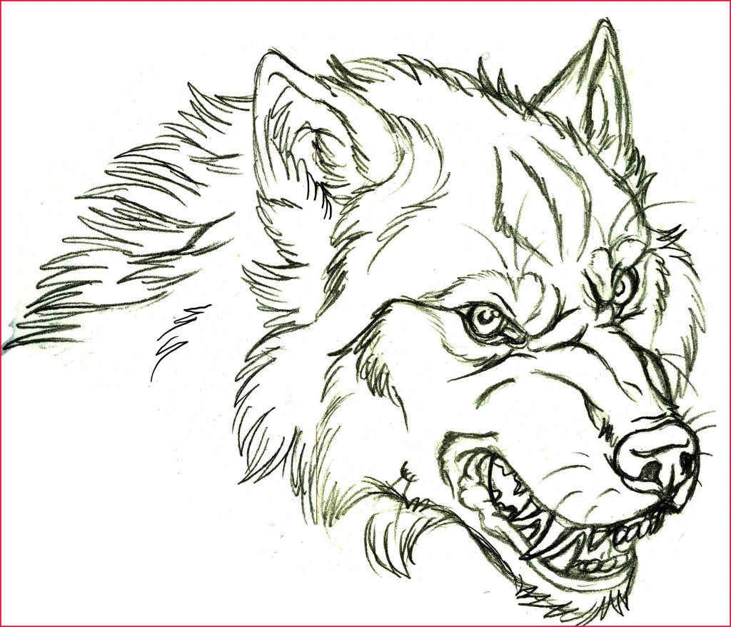 1024x878 Wolf Head Drawing Wolf Head Side Drawing - Wolf Head Side Drawing