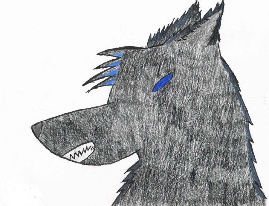 900x691 Wolf Head Side View - Wolf Head Side Drawing
