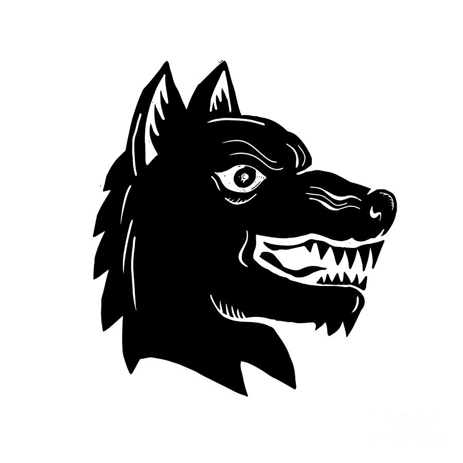 900x900 Angry Wolf Head Side Woodcut Digital Art - Wolf Head Side Drawing
