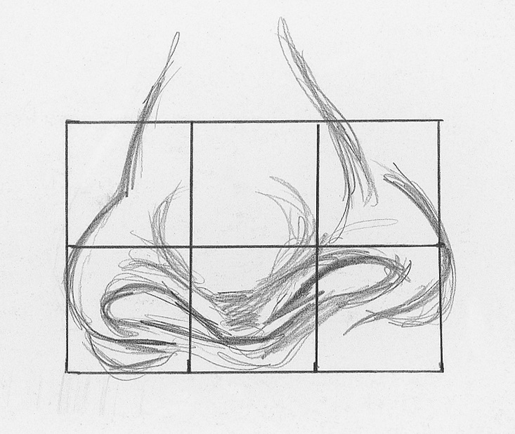 733x618 Draw Facial Features With This In Depth Beginner's Guide - Wolf Head Side View Drawing