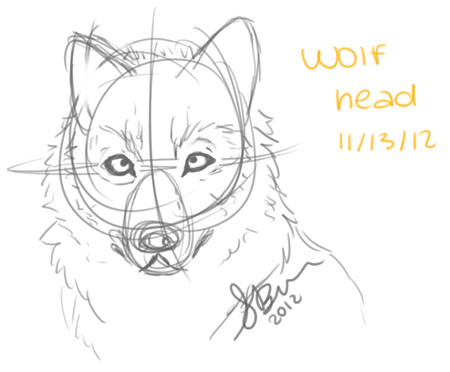 900x744 Wolf Face Side View Drawing - Wolf Head Side View Drawing