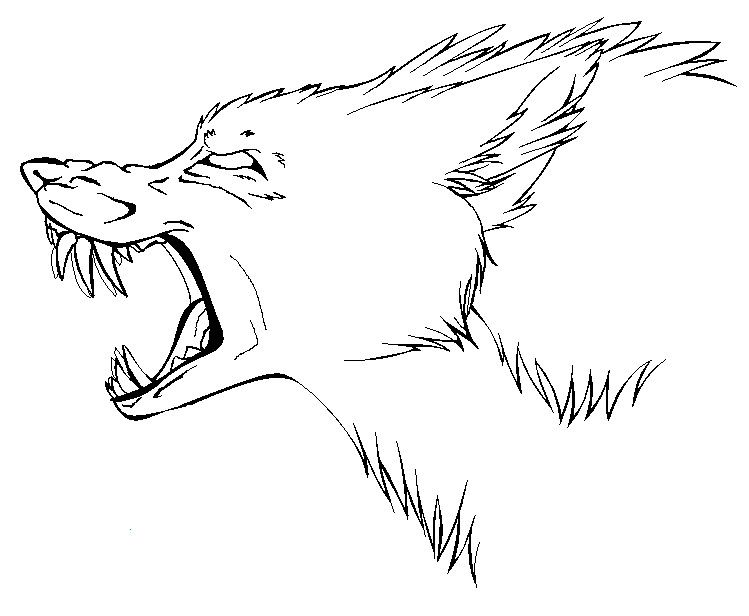 749x616 snarling wolf side view drawing - Wolf Head Side View Drawing.
