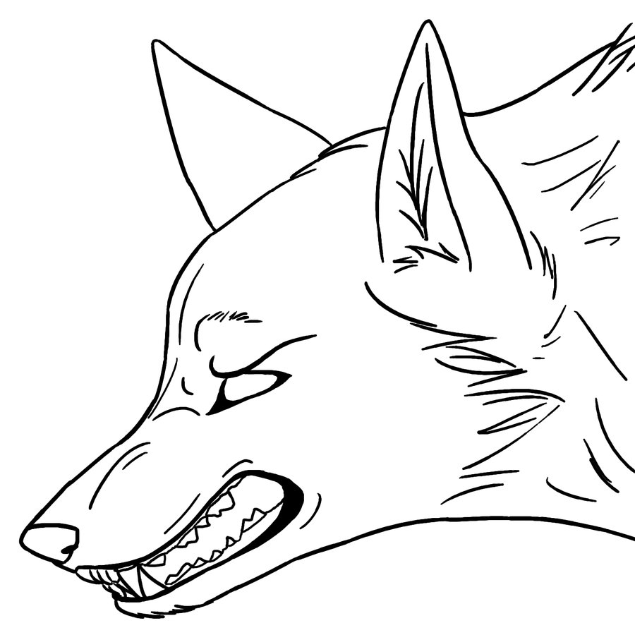 900x900 Anime Wolves Coloring Pages - Wolf Head Side View Drawing