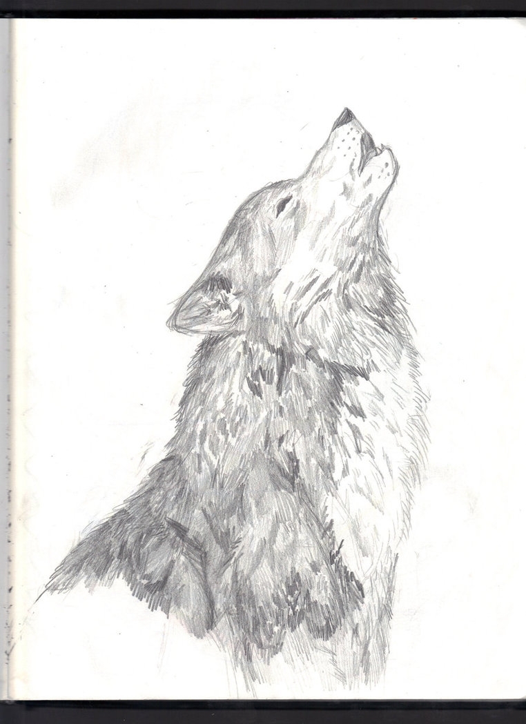 Wolf Howling At The Moon Drawing at PaintingValley.com | Explore ...