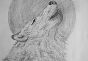 300x210 Pencil Sketches Of Wolves Howling At The Moon Wolf Howling At Moon - Wolf Howling At The Moon Drawing