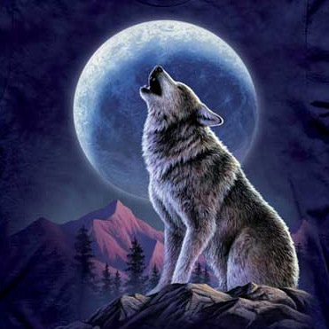 371x371 Wolf Howling At Full Moon Drawing - Wolf Howling At The Moon Drawing