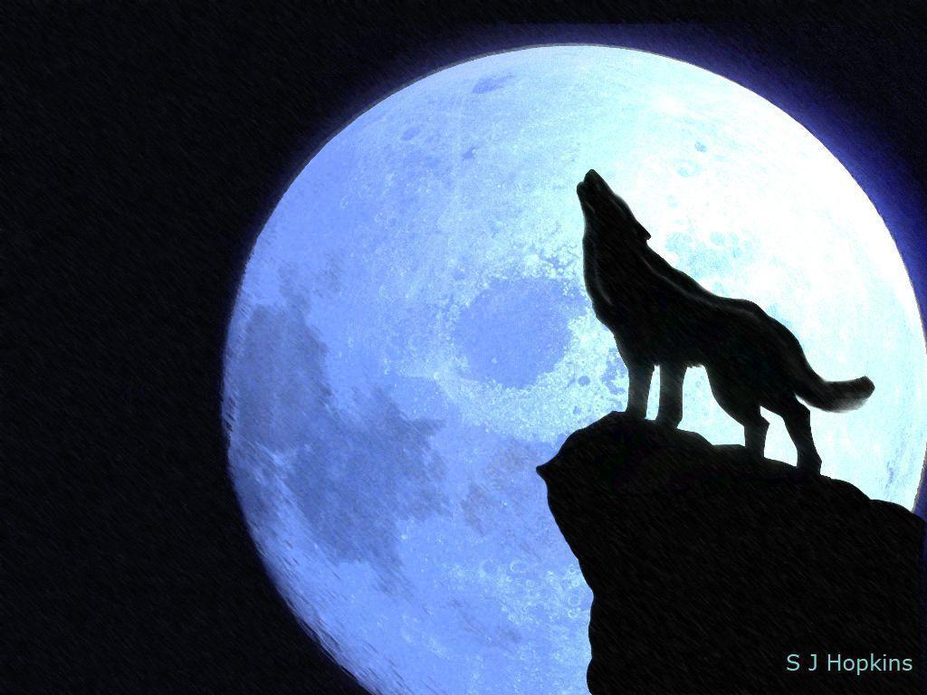 1024x768 Wolf Howling At The Moon Wallpapers - Wolf Howling At The Moon Drawing