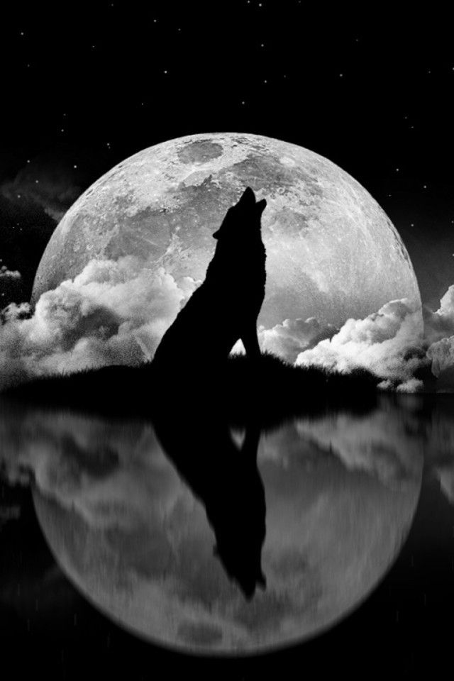 640x960 Wolf Howling - Wolf Howling At The Moon Drawing